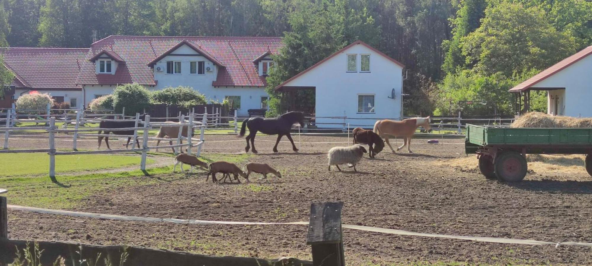 Rancho Colorado Villa Trzciel ภายนอก รูปภาพ